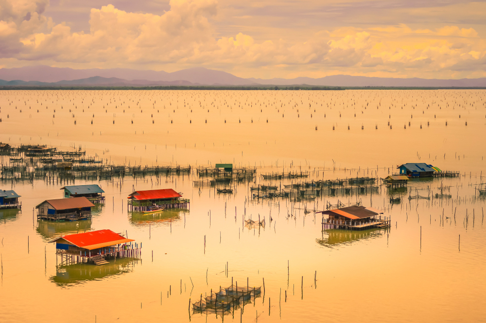 Озеро Сонгкхла в Таїланді номіновано до списку спадщини ЮНЕСКО